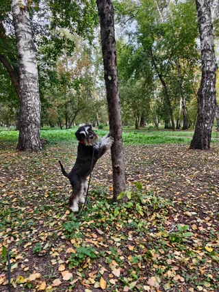 Наталья, фотография