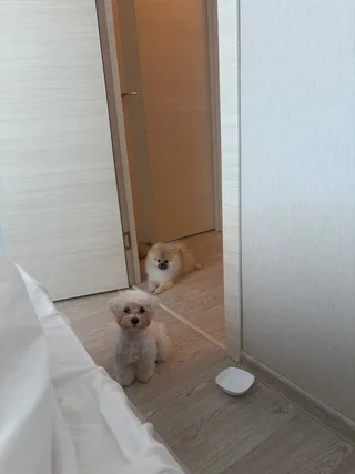 Масик, фотография