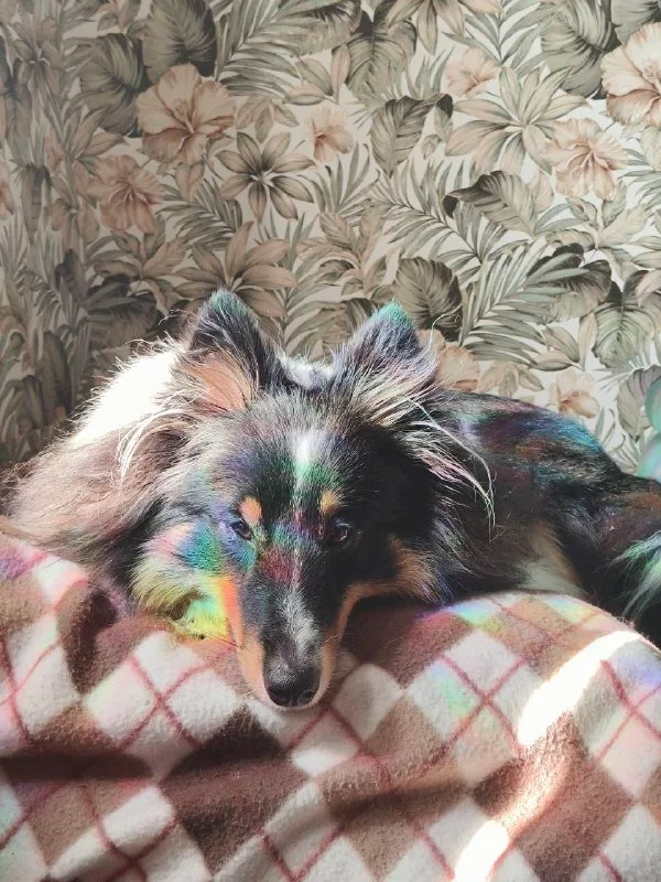 Полина, фотография