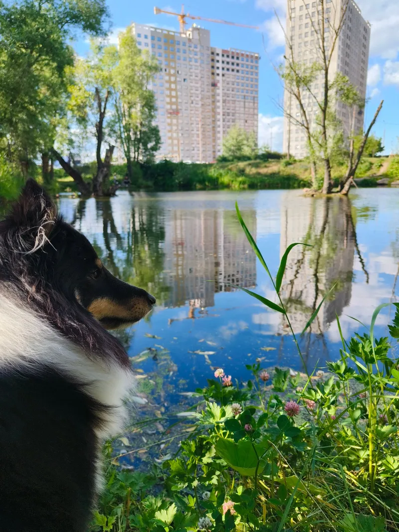 Полина, фотография