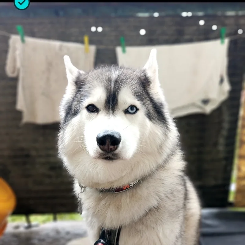Юлия, фотография