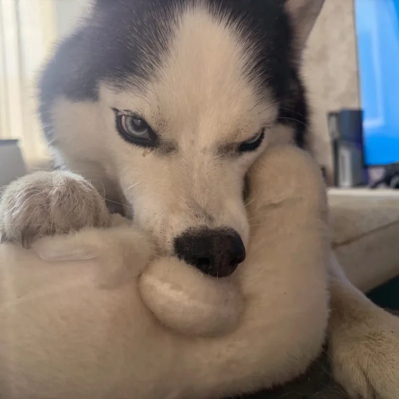 Юлия, фотография