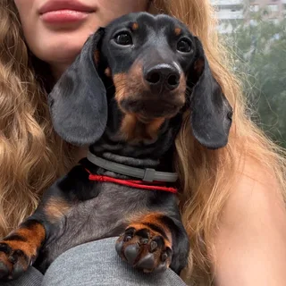 Нара, фотография