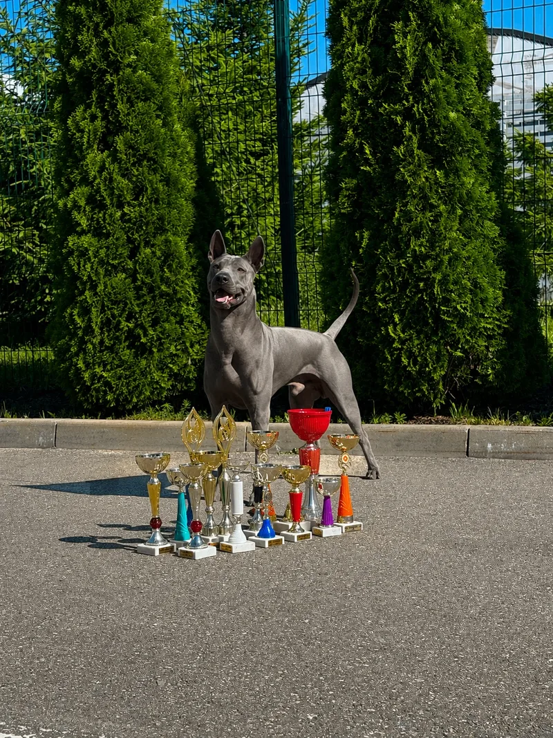Роман, фотография