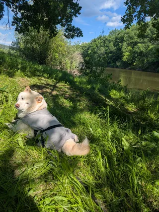 Жора, фотография