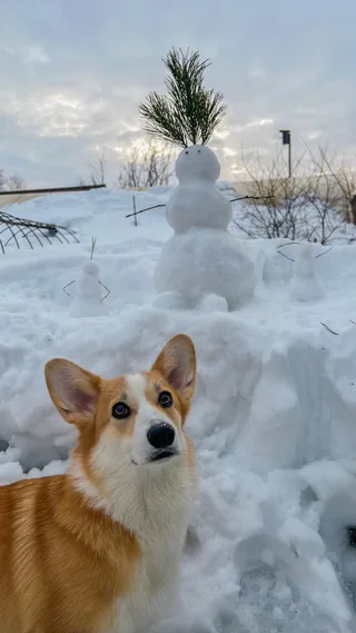 Фрейя, фотография