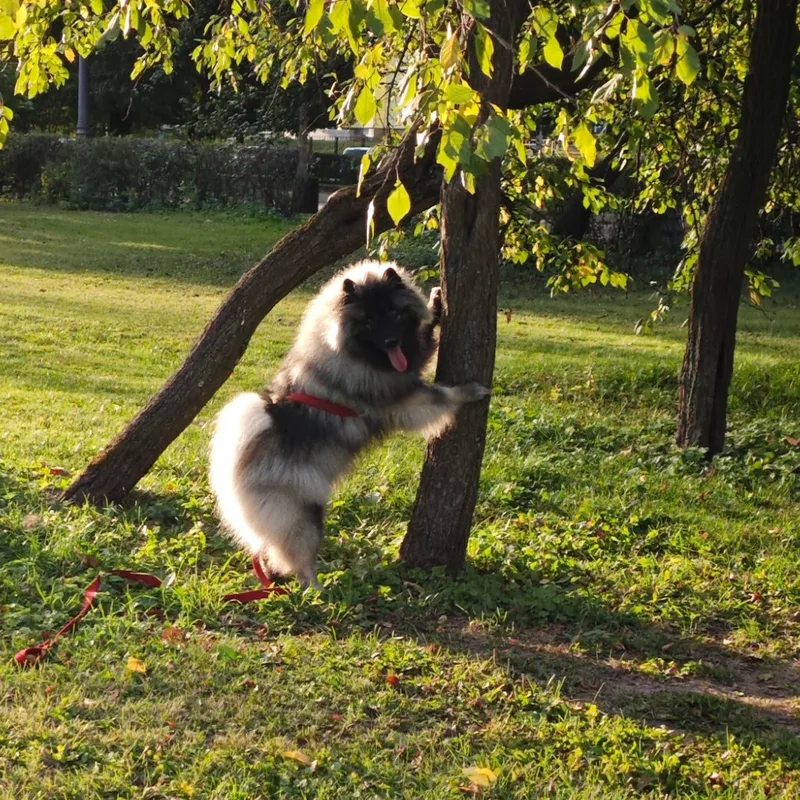 Татьяна, фотография