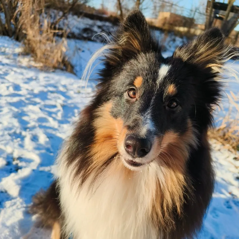 Полина, фотография