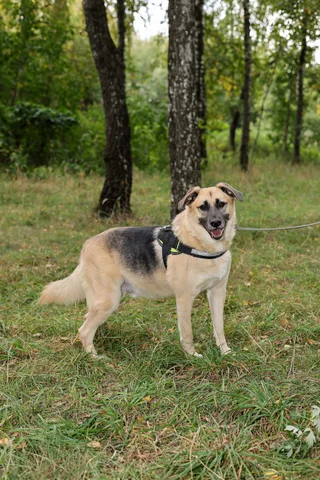 Лана, фотография
