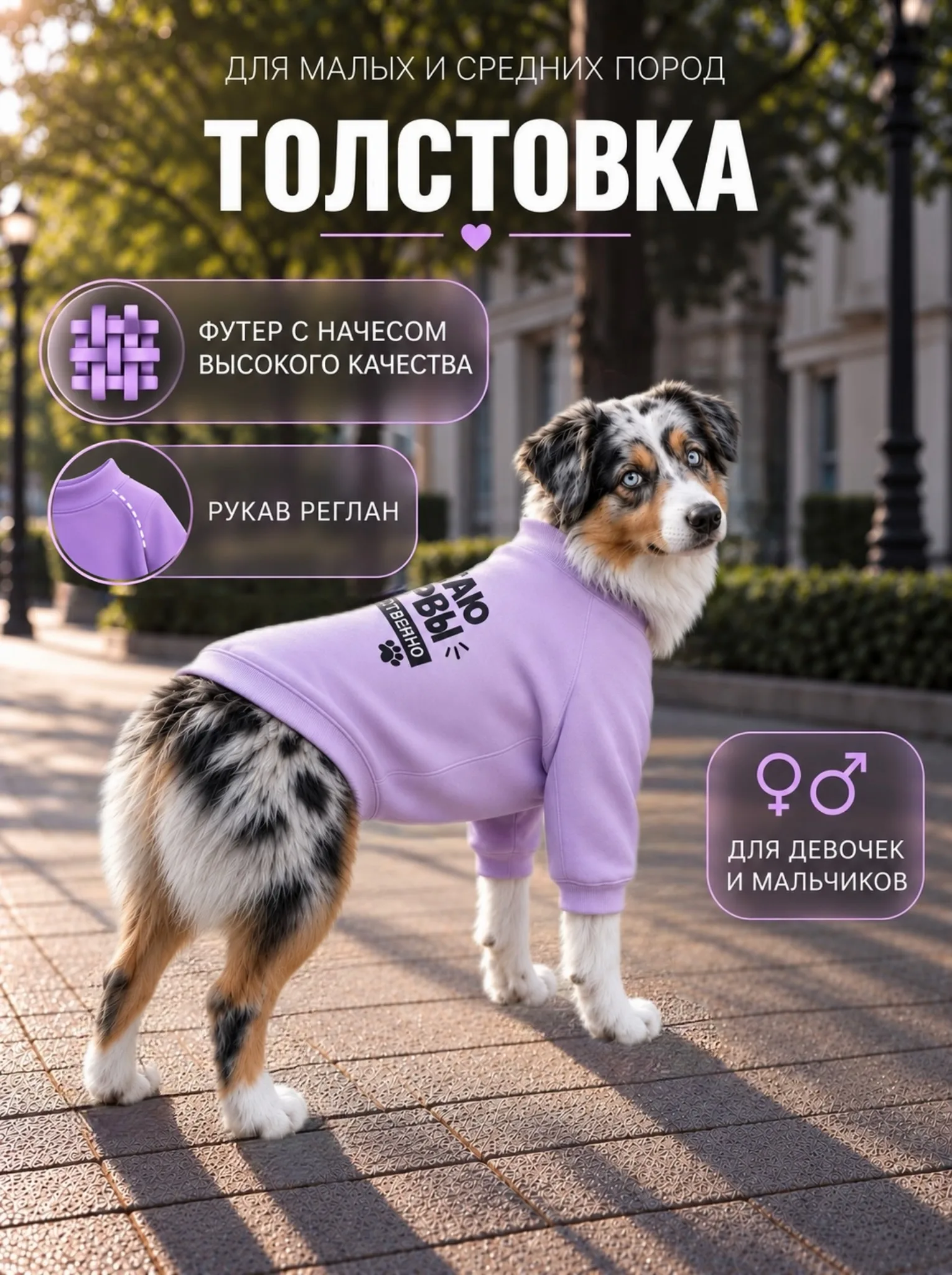 Толстовка для собак