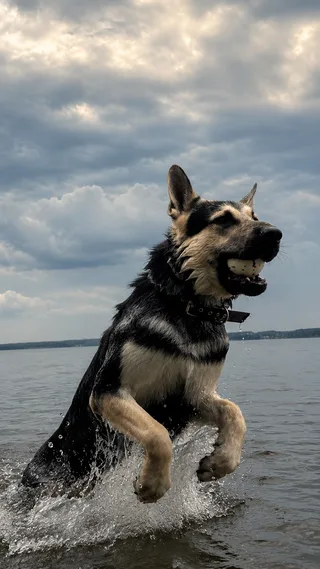 Гром, фотография