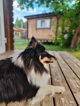 Полина, фотография