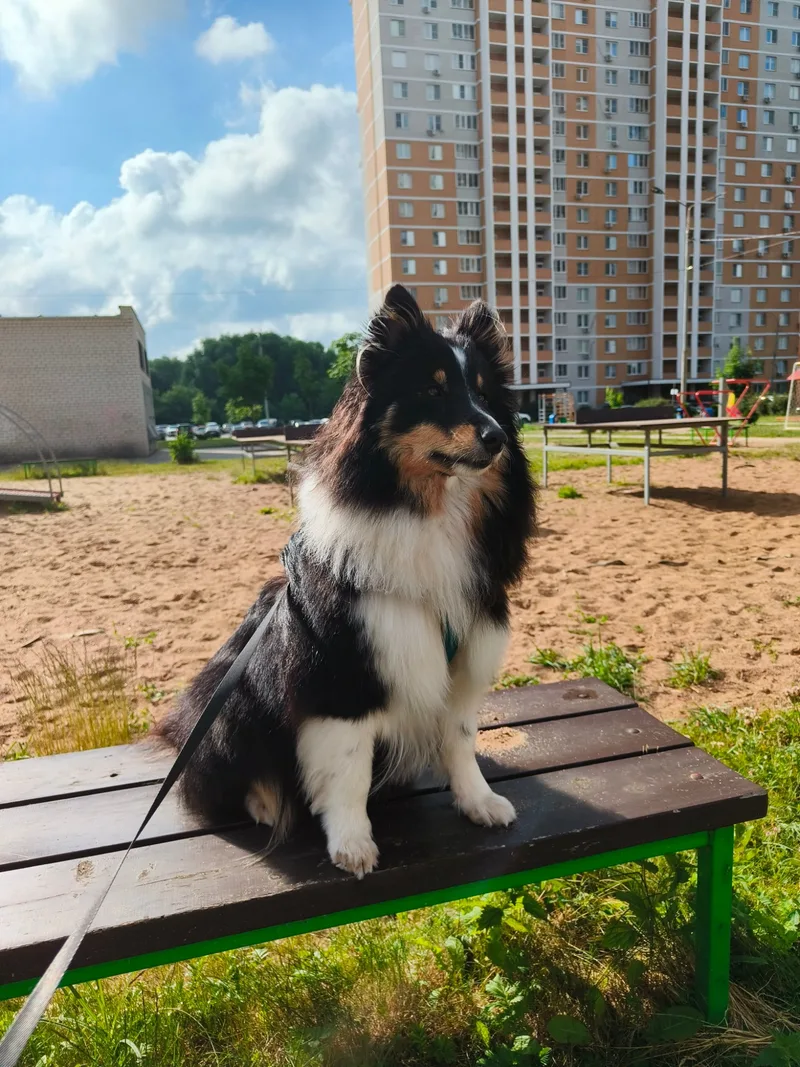 Полина, фотография