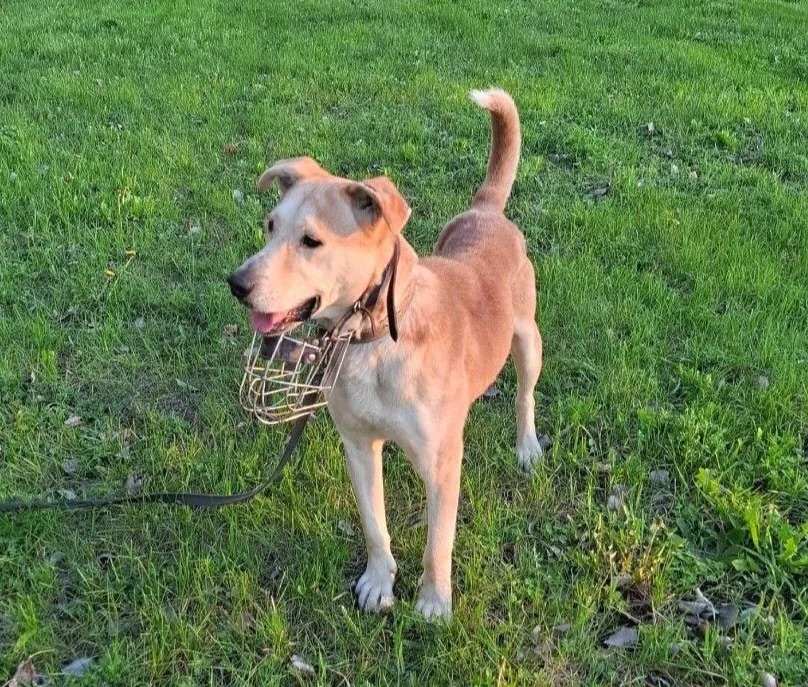 🐾Берт🐾