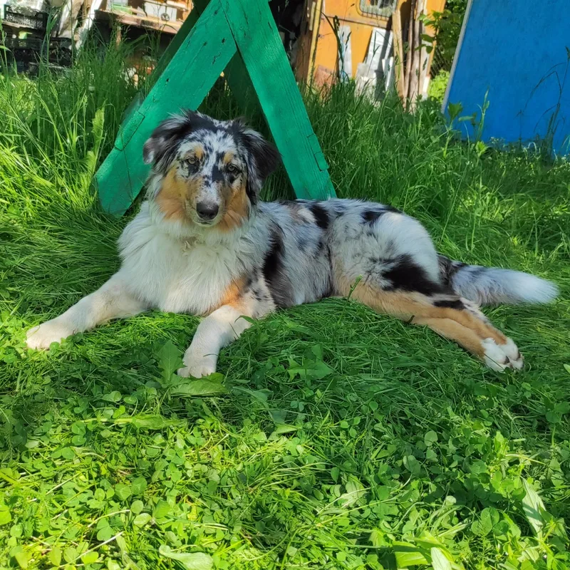 Евгения, фотография