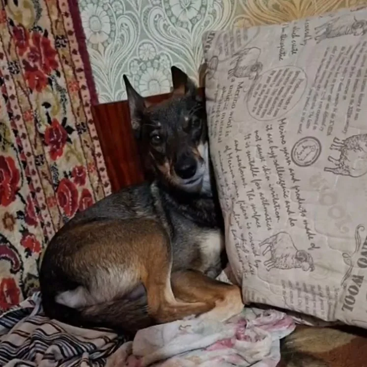 Яна, фотография