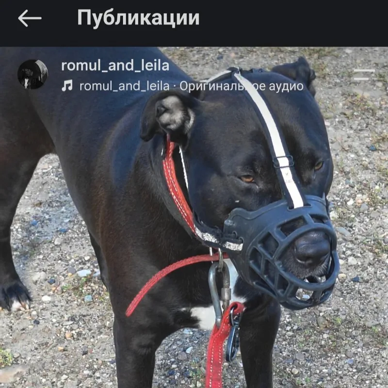 Денис, фотография