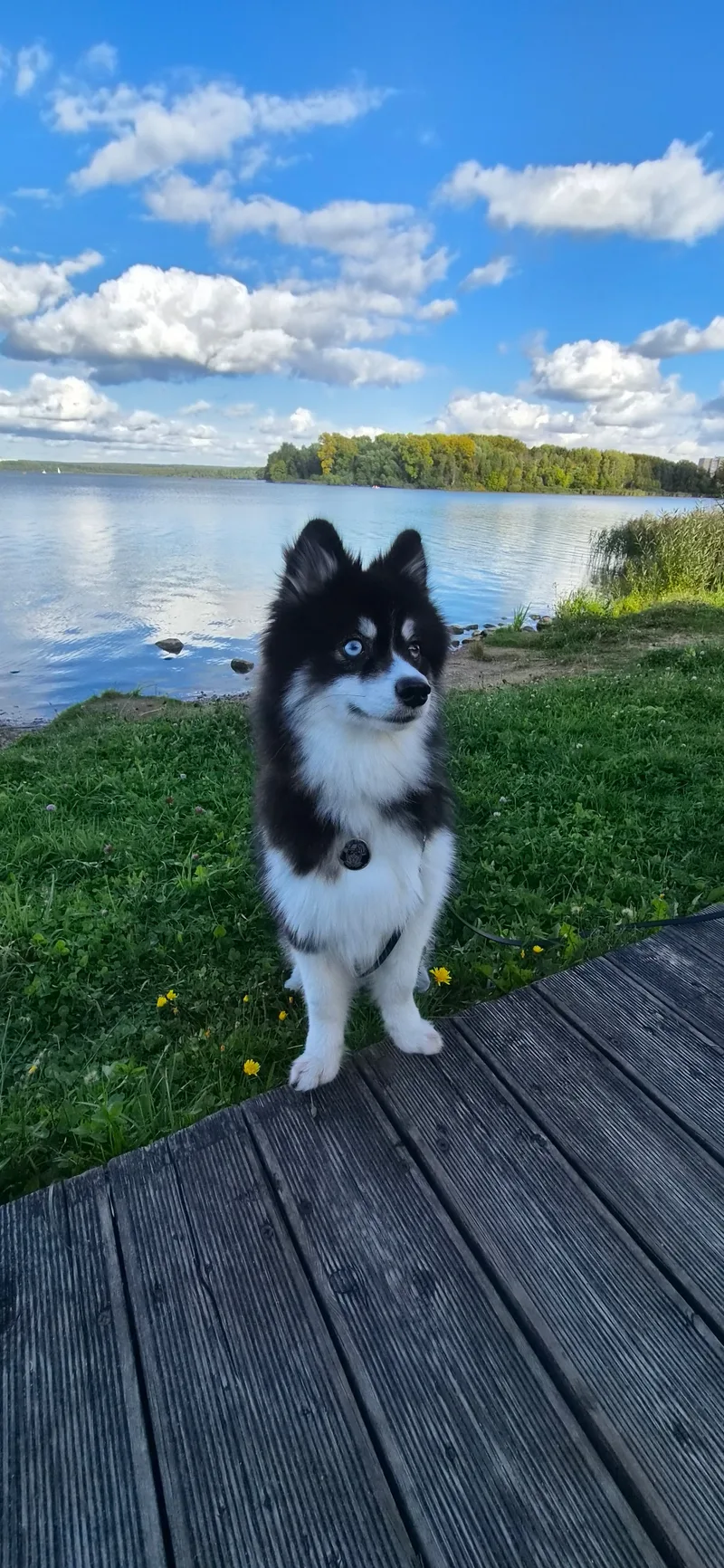 Василий, фотография