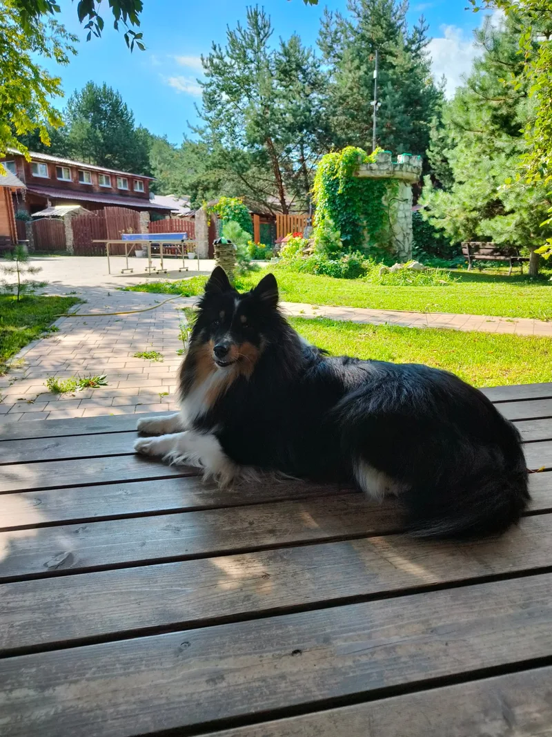 Полина, фотография