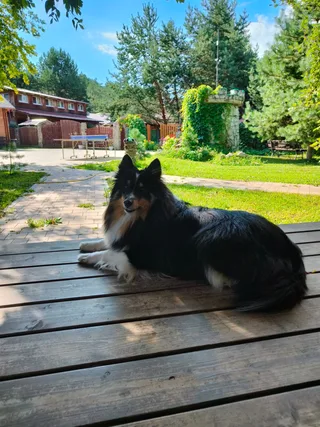 Полина, фотография