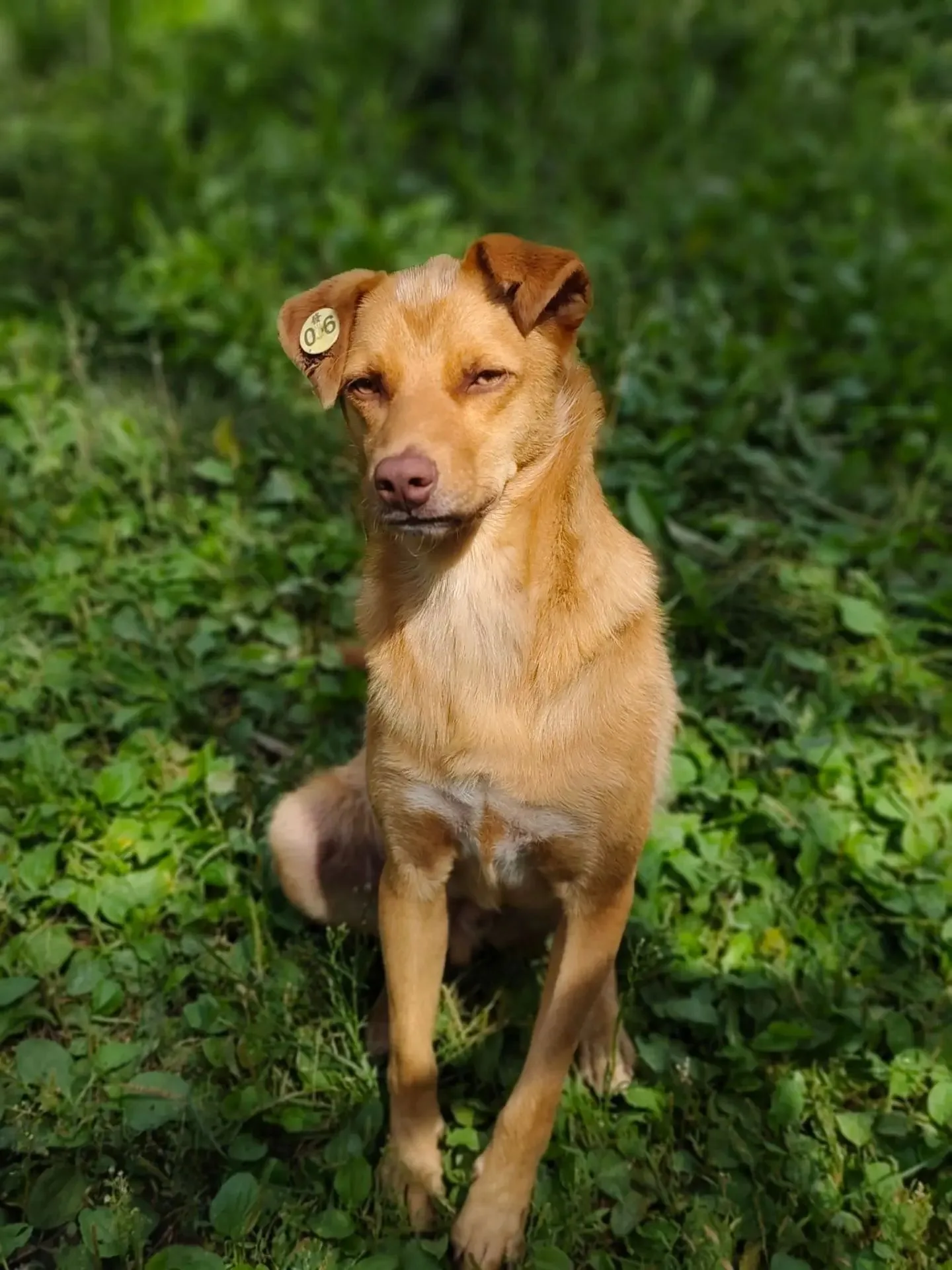 🐾Сэм🐾