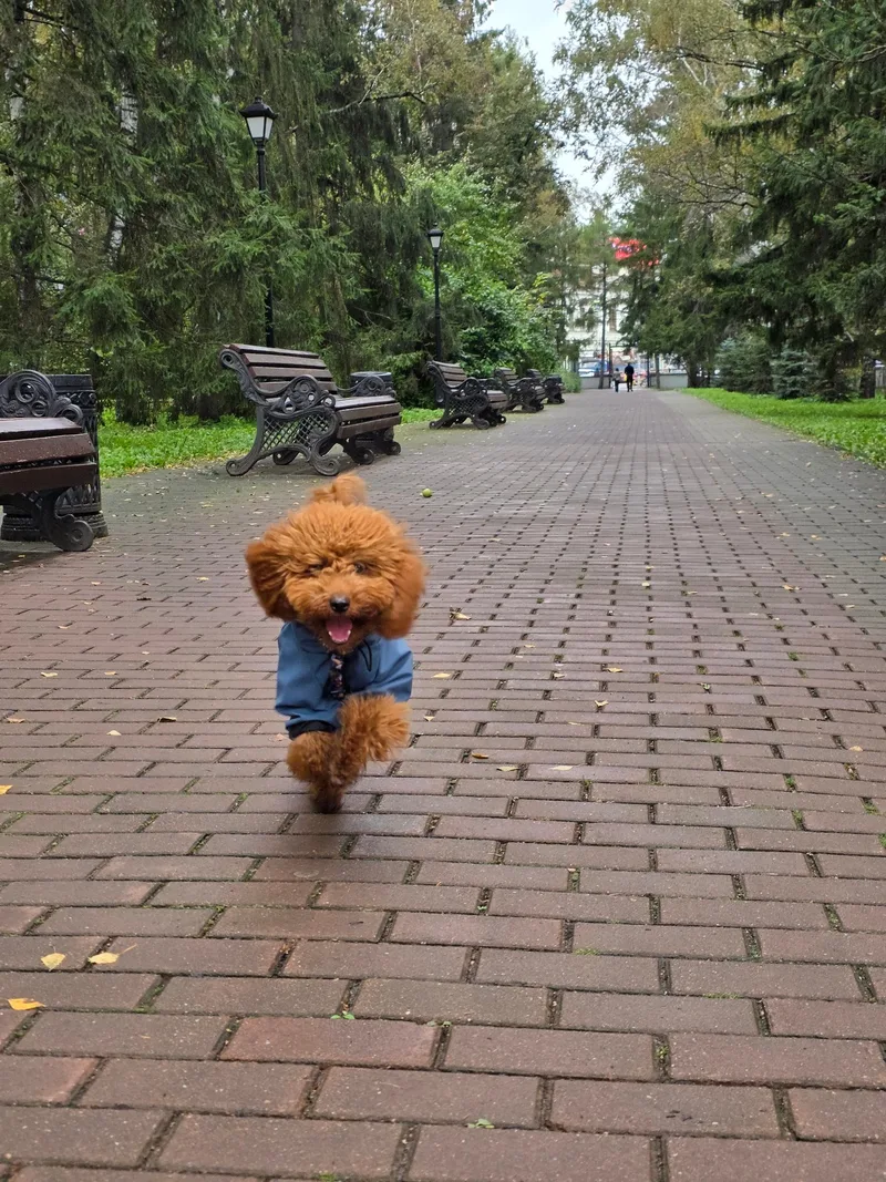 Ирина, фотография