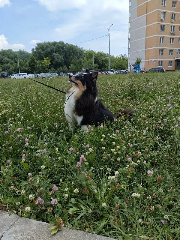 Полина, фотография
