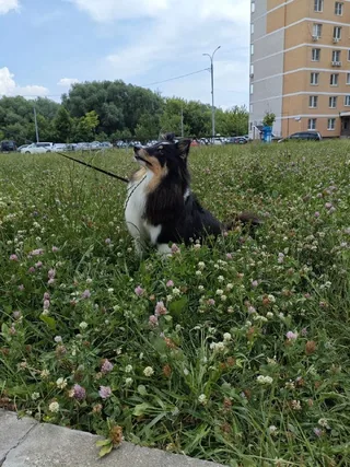 Полина, фотография