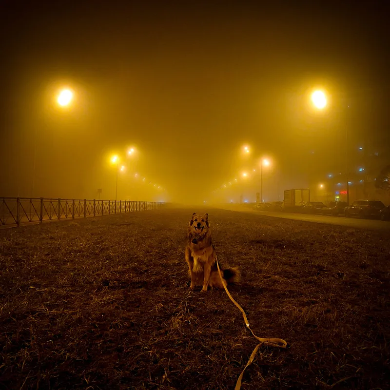Таня, фотография