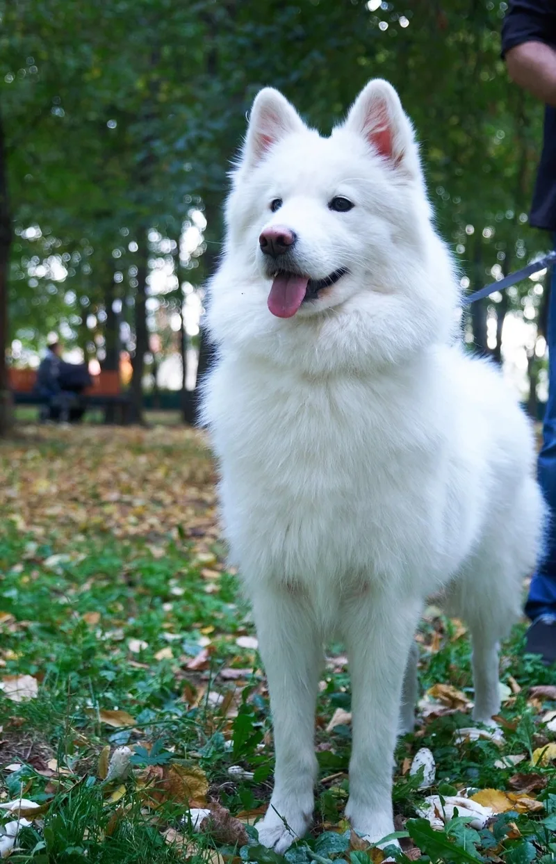 Марина, фотография