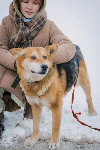 Остин, фотография