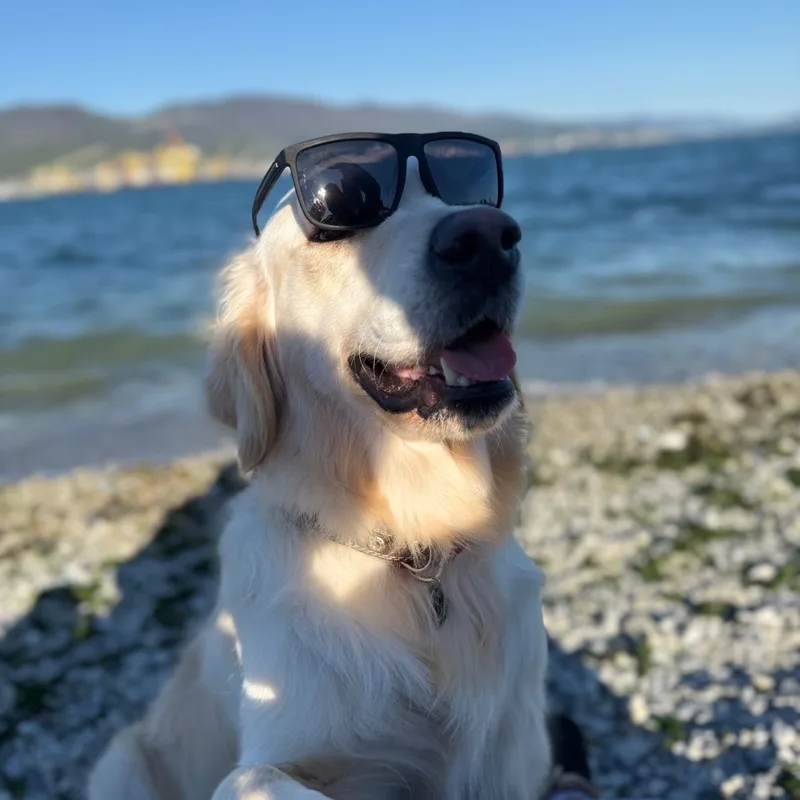 Яна, фотография