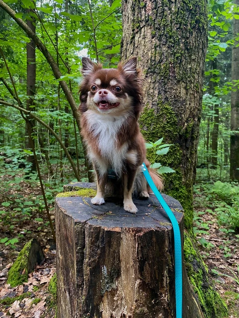 Миша🐻, фотография