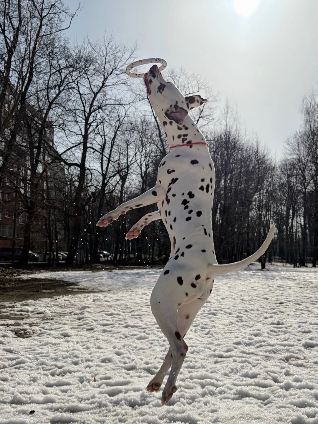 Валерия, фотография
