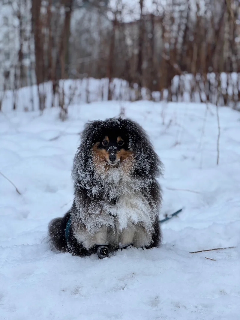 Дмитрий, фотография