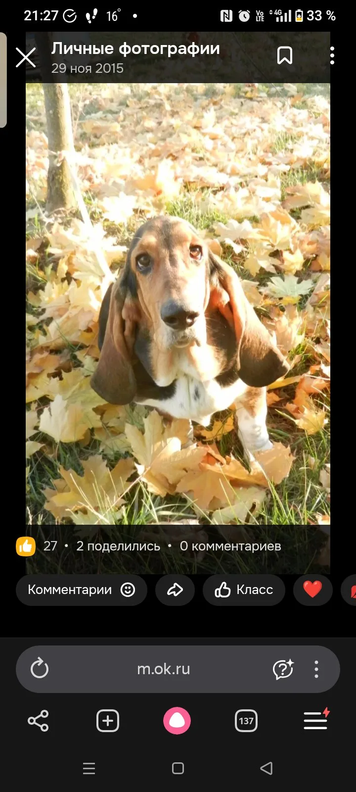 Василина, фотография