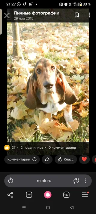 Глаша, фотография