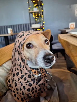 Лиззи, фотография