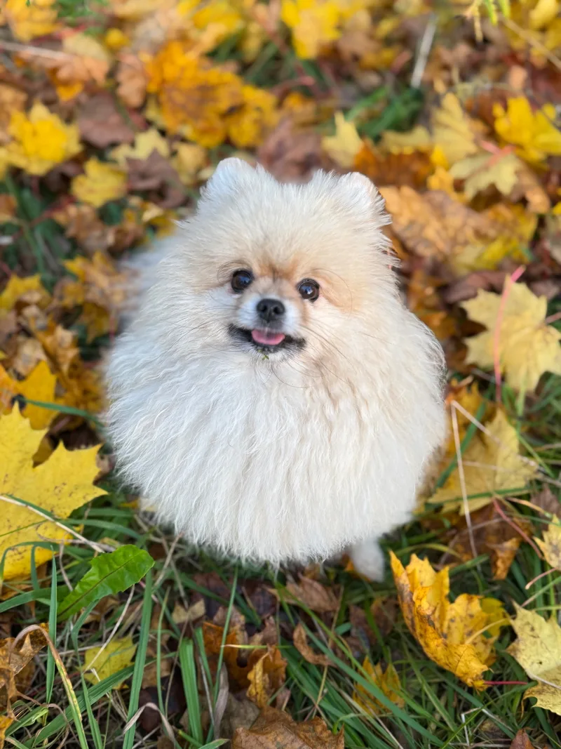 Марина, фотография