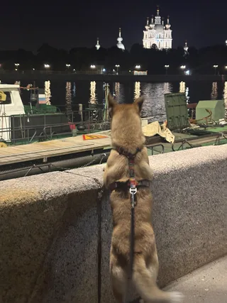 Рэй, фотография