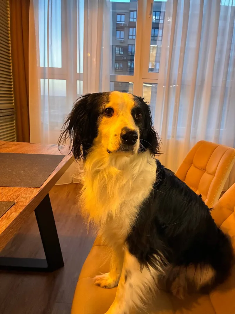 Илья, фотография