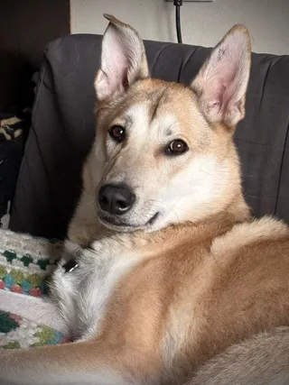Рэй, фотография