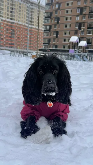 Асти, фотография