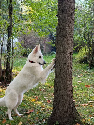 Лотта, фотография
