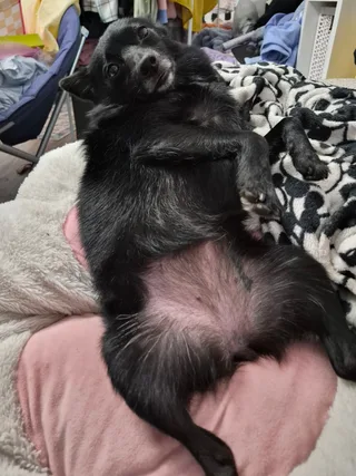 Даня, фотография