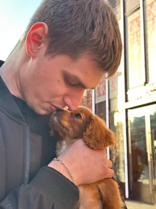 Cookie, фотография