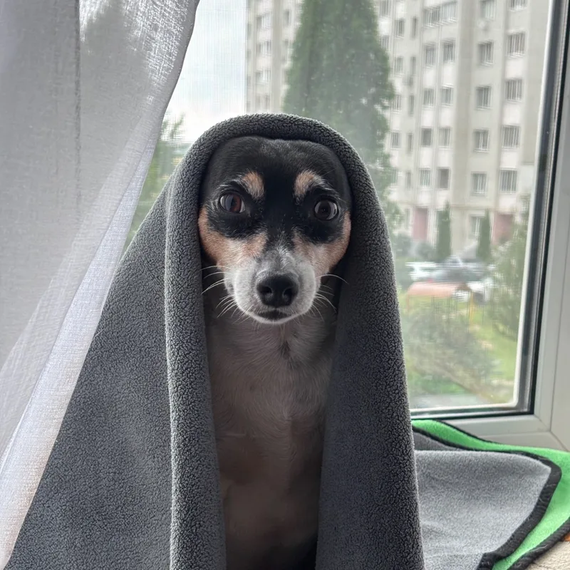 Анна, фотография