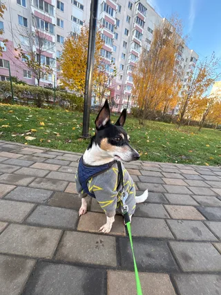 Каспер, фотография