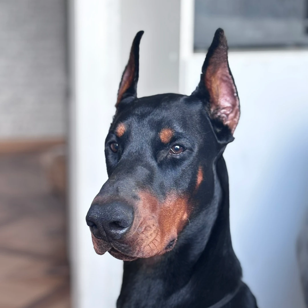 Дмитрий, фотография