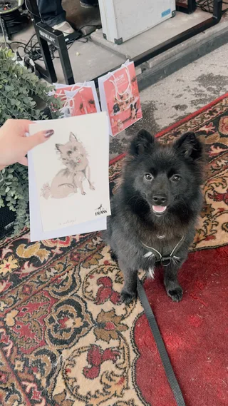 Максим, фотография